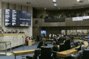 Os vereadores de São Paulo têm sensibilidade? - AGJ